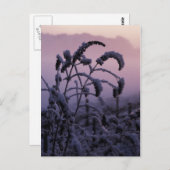 Winter, Norfolk, Engeland - Briefkaart (Voorkant / Achterkant)