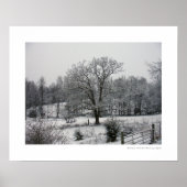 Winter Oak Poster (Voorkant)