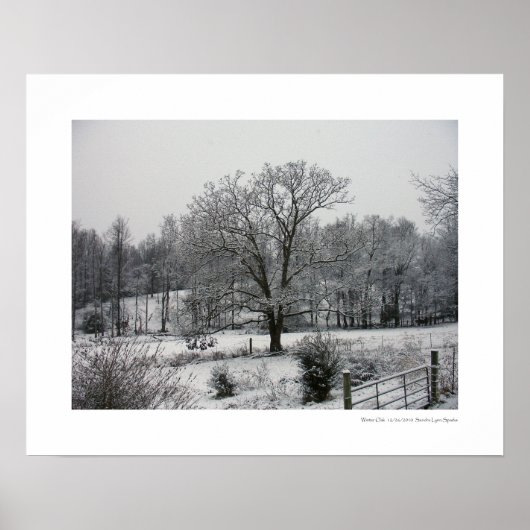 Winter Oak Poster (Voorkant)