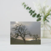 Winter Oaks met Mistletoe Briefkaart (Staand voorkant)