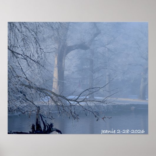 Winter on the Delaware Poster (Voorkant)