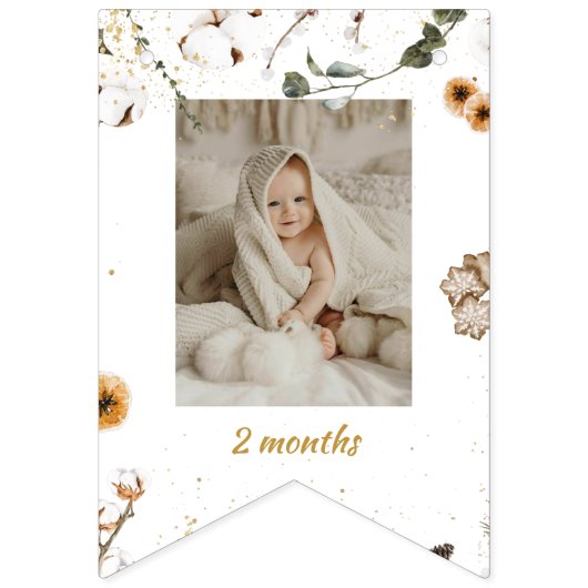 Winter Onderland Birthday Maandfoto Vlaggetjes (Derde vlag)