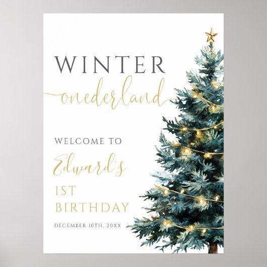 Winter Onederland 1e verjaardagsfeest welkomstbord Poster (Voorkant)