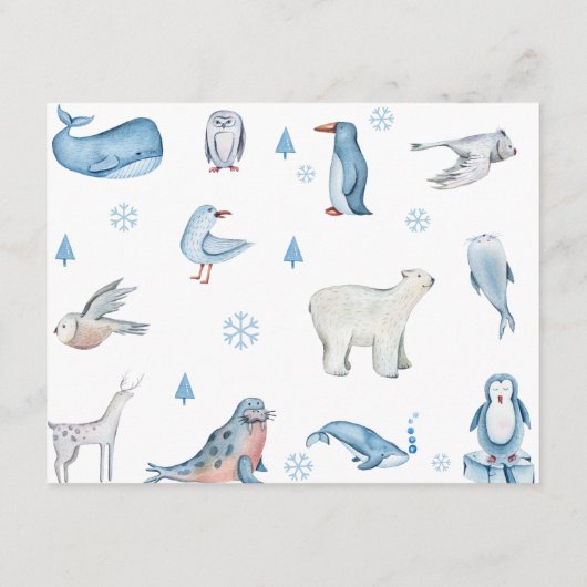 Winter Onederland Arctic Animals Time Capsule Informatiekaartje (Achterkant)