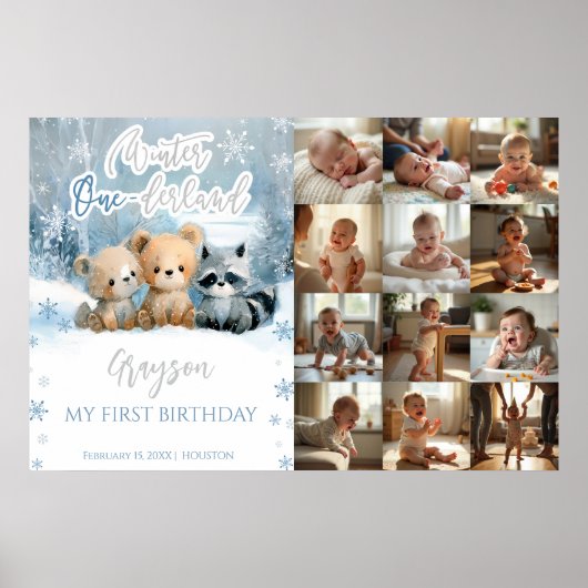 Winter Onederland Blue My First Year Photo Sign Poster (Voorkant)