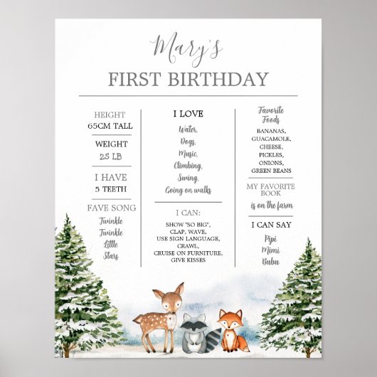 Winter Onederland Dier 1e verjaardag mijlpaal Poster (Voorkant)