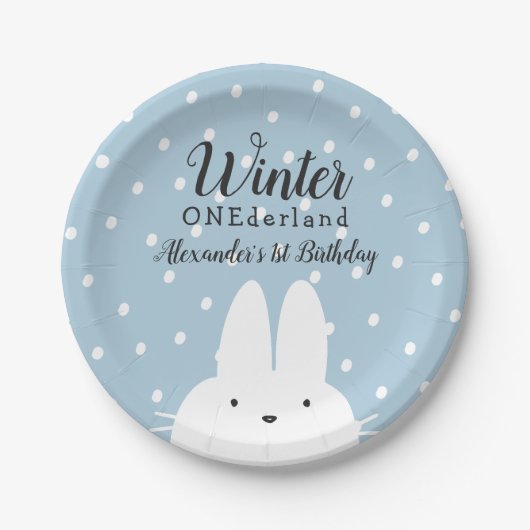 Winter ONEderland Jongen 1e verjaardag Blauw Papieren Bordje (Voorkant)