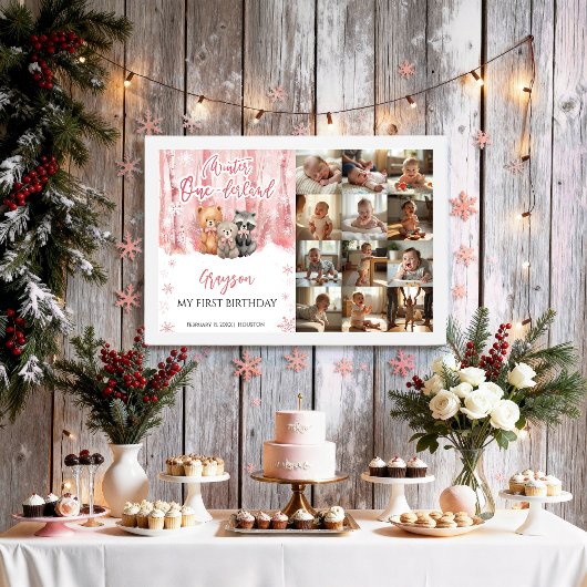 Winter Onederland Pink My First Year Photo Sign Poster