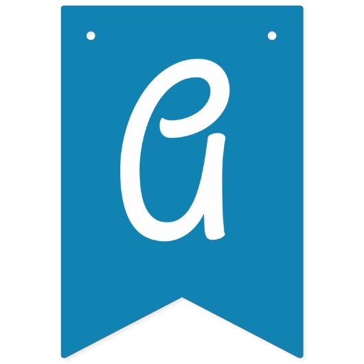 Winter Onederland Snowflake 1e verjaardag Vlaggetjes (Derde vlag)