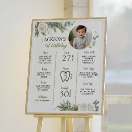 Winter Onederland Verjaardagsfoto Mijlpaal Poster