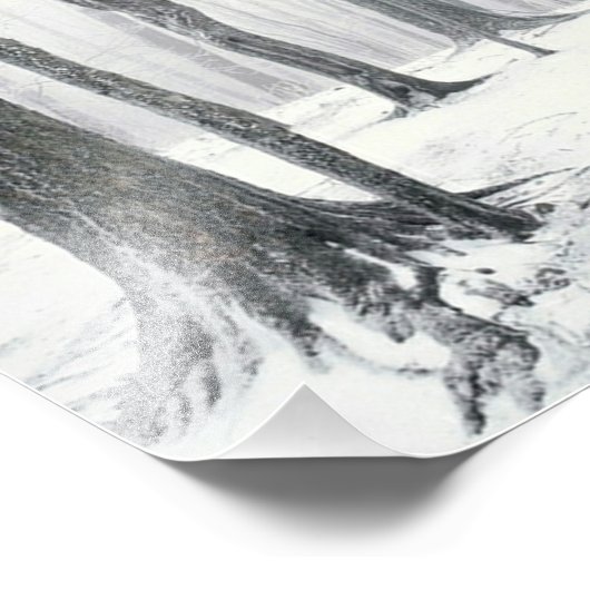 Winter op de Bossen Foto Afdruk (Hoek)