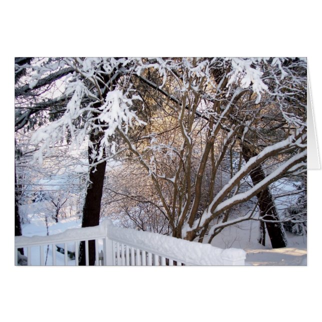 Winter op de voorpagina (Voorkant Horizontaal)