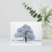 Winter op het Briefkaart van het Heaton Park (Staand voorkant)