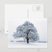 Winter op het Briefkaart van het Heaton Park (Voorkant / Achterkant)