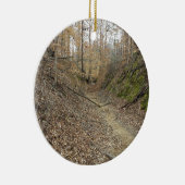 Winter op Sunken Trace Natchez Trace Parkway MS Keramisch Ornament (Rechts)