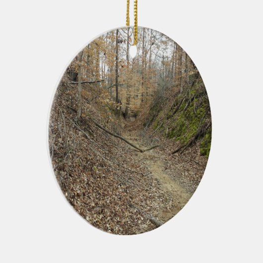 Winter op Sunken Trace Natchez Trace Parkway MS Keramisch Ornament (Rechts)