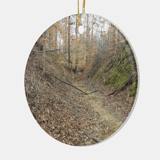 Winter op Sunken Trace Natchez Trace Parkway MS Keramisch Ornament (Links)