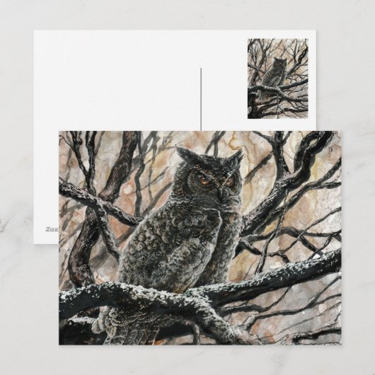 Winter Owl Briefkaart (Voorkant / Achterkant)