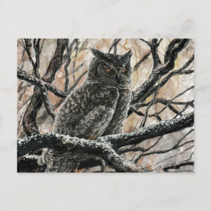 Winter Owl Briefkaart