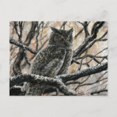 Winter Owl Briefkaart (Voorkant)