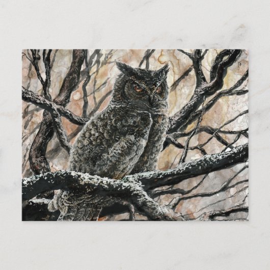 Winter Owl Briefkaart (Voorkant)