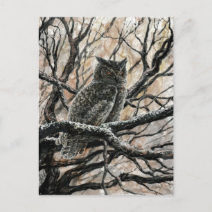 Winter Owl Briefkaart