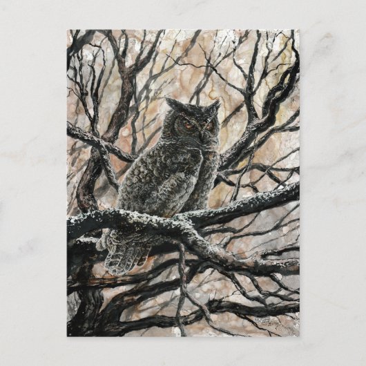 Winter Owl Briefkaart (Voorkant)