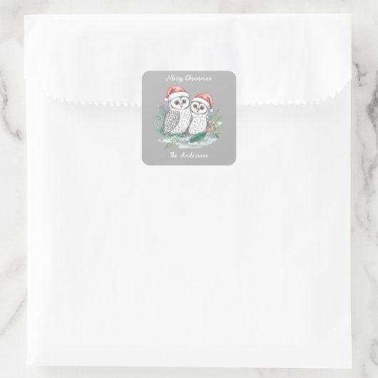 Winter Owl Christmas Sticker – Woodland Forest Owl (Tas)