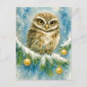 Winter Owl on Snowy Branch Christmas Postcard Feestdagenkaart (Voorkant)