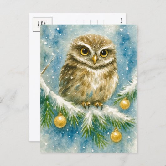 Winter Owl on Snowy Branch Christmas Postcard Feestdagenkaart (Voorkant / Achterkant)