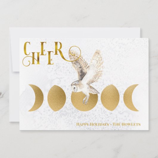Winter Owl Prettige feestdagen kerstfeestdag Feestdagenkaart (Voorkant)