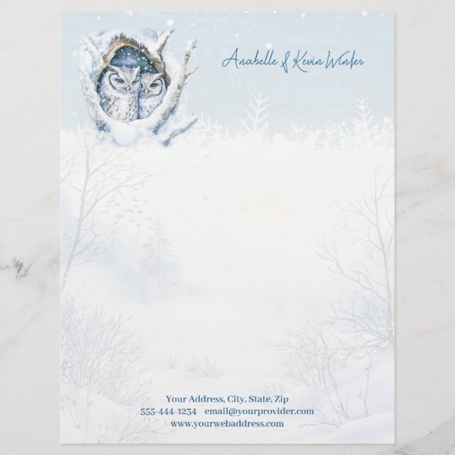 Winter Owls Snowflakes Letterhead Briefhoofd (Voorkant)