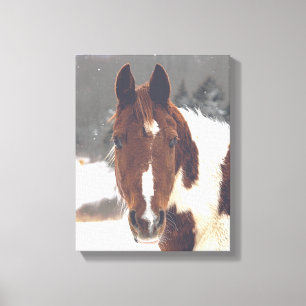 Winter Paard Verpakt Canvas