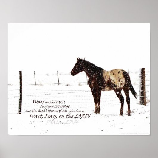Winter Paarden en scripts 11x14 Matte Poster (Voorkant)