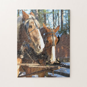Winter Paarden Thema Legpuzzel
