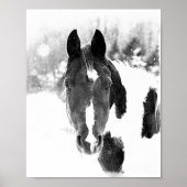 Winter Paardendieren B&W Poster (Voorkant)