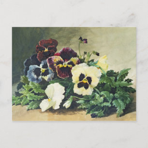Winter Pansies, 1884 Briefkaart