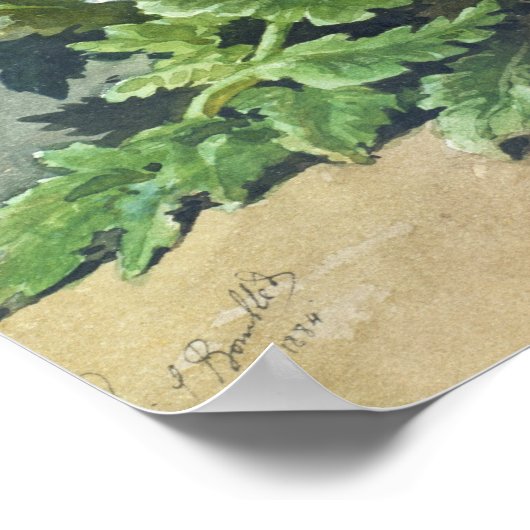 Winter Pansies, 1884 Poster (Hoek)