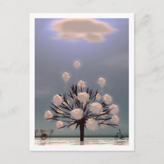 WINTER PARK BRIEFKAART