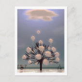 WINTER PARK BRIEFKAART (Voorkant)