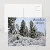 Winter Park, Colorado Briefkaart (Voorkant / Achterkant)
