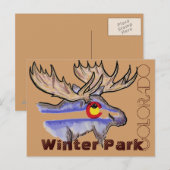 Winter Park Colorado elk briefkaart (Voorkant / Achterkant)