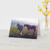 Winter pasture horse card kaart (Gele Bloem)