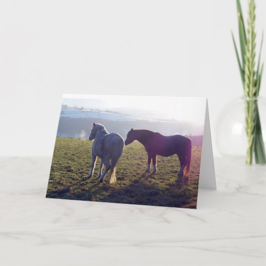 Winter pasture horse card kaart (Voorkant)