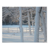 Winter Pasture Photo Print Foto Afdruk (Voorkant)