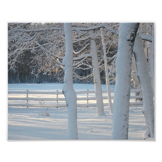 Winter Pasture Photo Print Foto Afdruk (Voorkant)