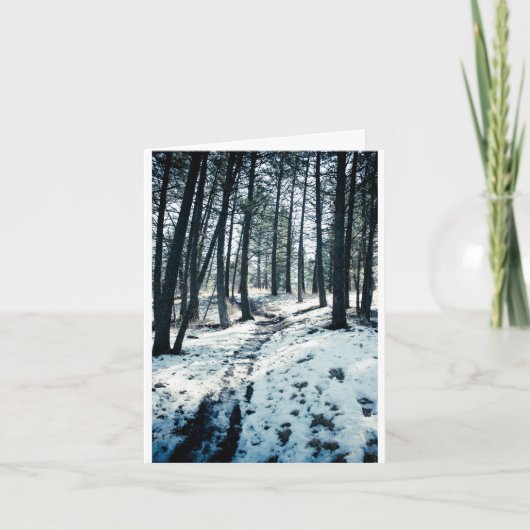 Winter Path Christmas card Feestdagen Kaart (Voorkant)