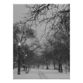 Winter Path Perfect Poster (Voorkant)