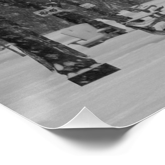 Winter Path Perfect Poster (Hoek)