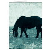 Winter Percheron (Voorkant)